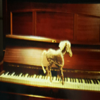 Bernard Gast - Lettre à un jeune plasticien - I Gallery Editions